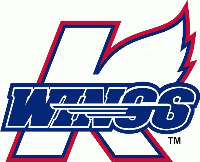 kalamazoo wings 2009-pres primary logo iron on transfers for T-shirts